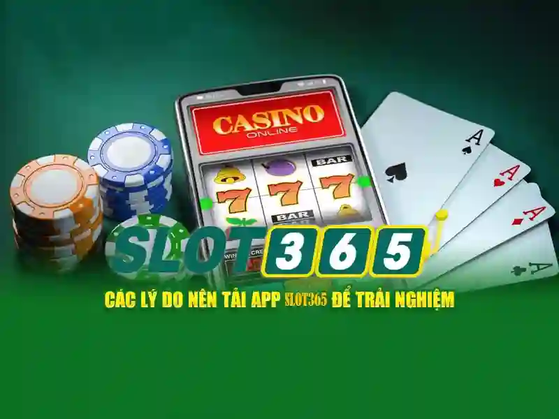 Slot365 là gì và vì sao thu hút người chơi
