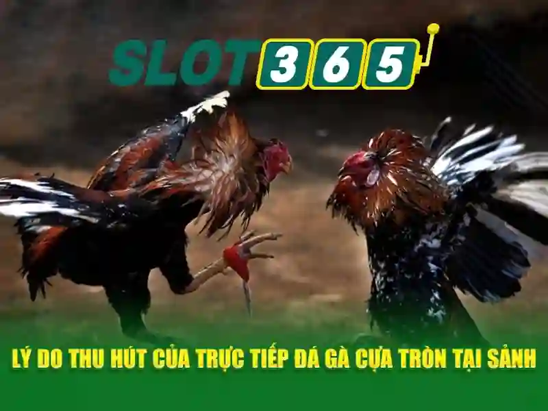 Nguồn gốc và sứ mệnh của bắn cá Slot365