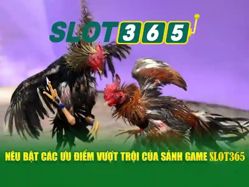 Sản phẩm và dịch vụ chính: ứng dụng giftcode Slot365