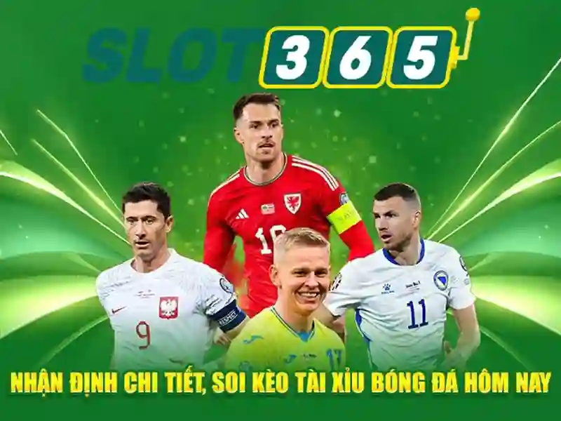 Trải nghiệm người dùng và phản hồi cộng đồng slot365 bet