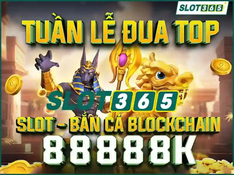 Sản phẩm và dịch vụ chính – ứng dụng thực tế của slot365 có lừa đảo không