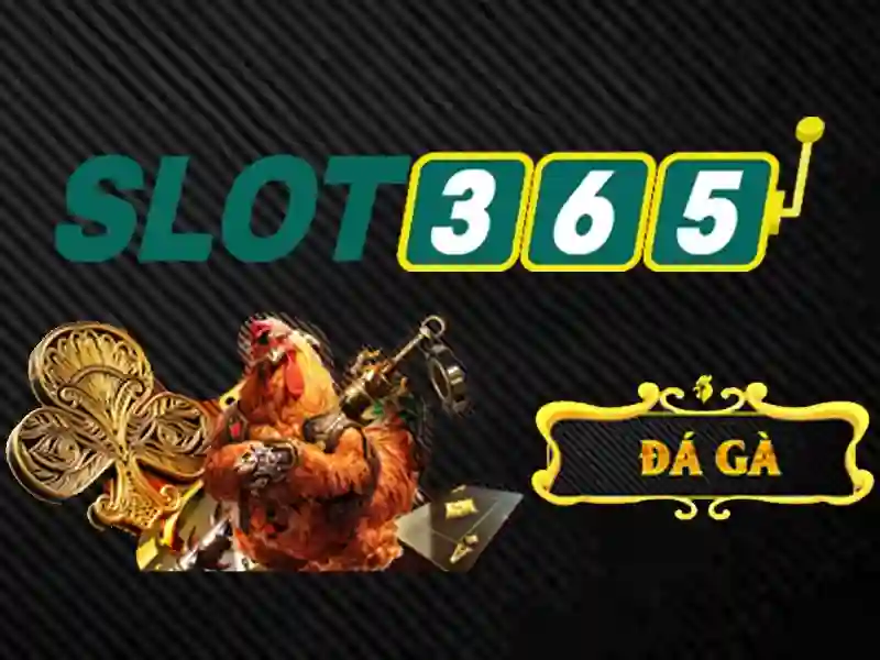 slot365. com – Trải nghiệm đỉnh cao và ưu đãi nổi bật