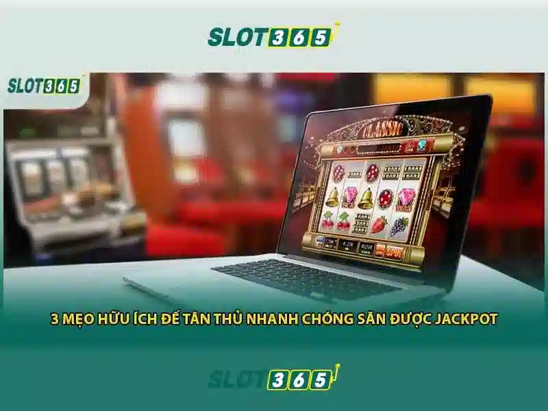 Slot365 app – Tổng quan chủ đề và giá trị cốt lõi
