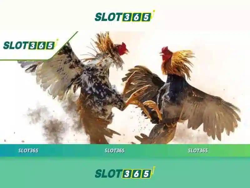 Slot365 - Tổng quan về nền tảng xổ số trực tuyến
