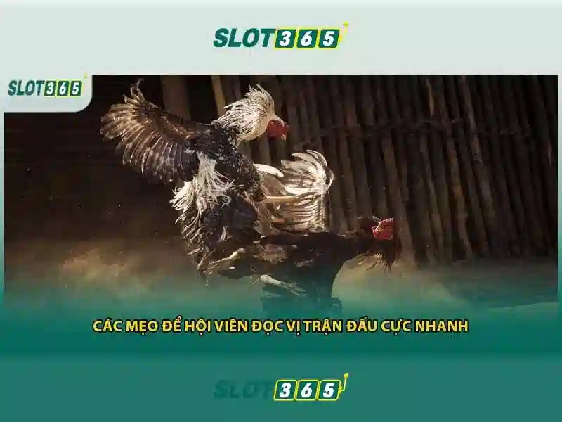 Slot365 là gì và vì sao nó trở thành lựa chọn của nhiều người chơi
