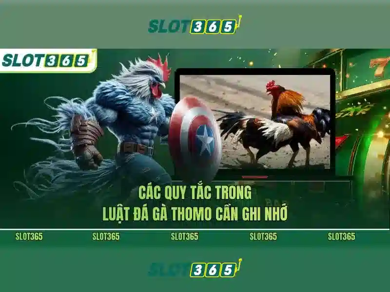 Slot365 - Nền tảng chơi slot trực tuyến đáng tin cậy và đa dạng