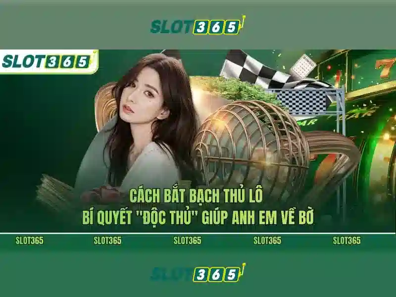 Slot365 – Nền tảng chơi slots trực tuyến hàng đầu