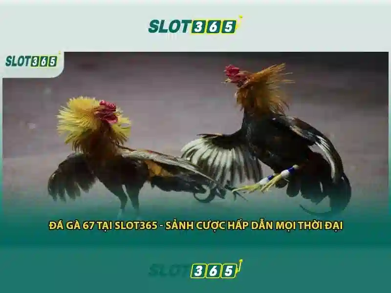 Nguon goc tu khoa va su menh cua huong dan Slot365