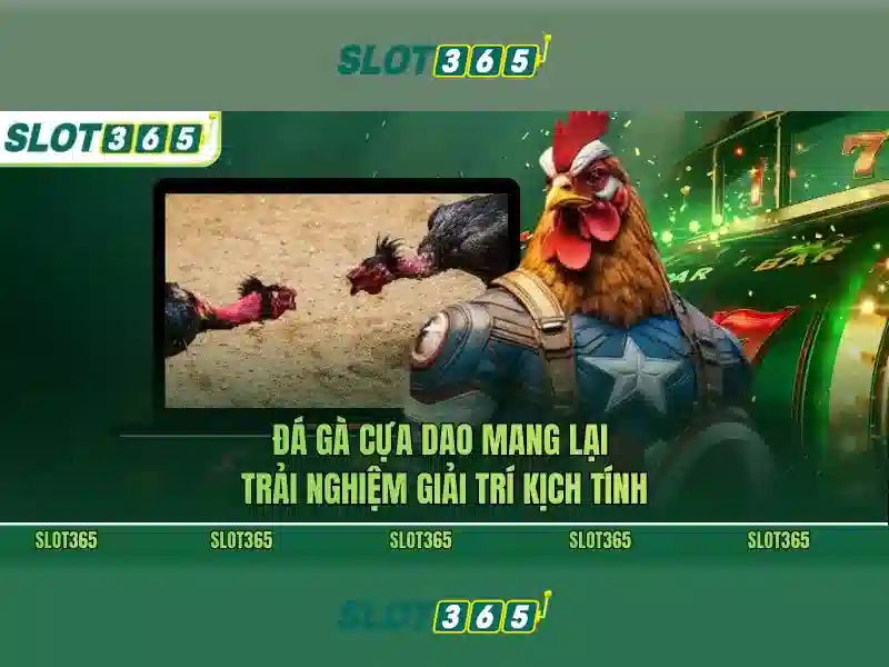 Nhà cái Slot365 - Trải nghiệm đỉnh cao cược trực tuyến