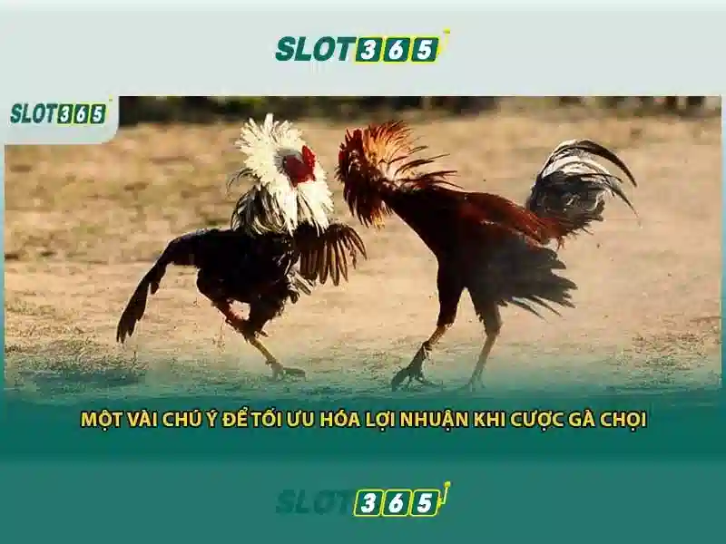 https t ly slot365 – Tổng quan chủ đề và giá trị cốt lõi