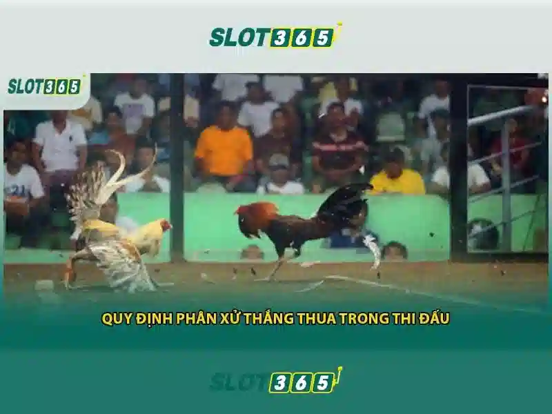 Slot365 - Nền tảng đánh bạc trực tuyến uy tín tại Việt Nam
