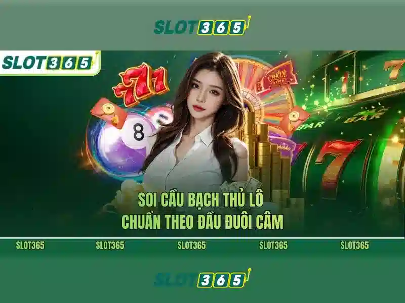 Khuyến mãi và thưởng