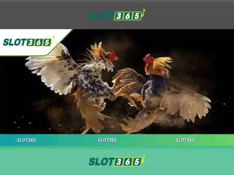 Slot365: Giới thiệu về nền chơi slot online