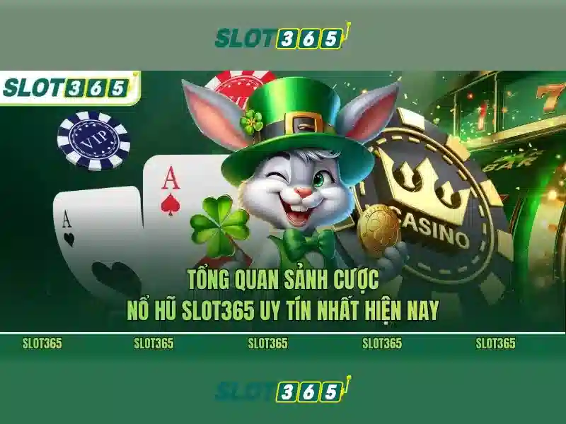 slot365 .com - Nền tảng giải trí và nhận thưởng uy tín