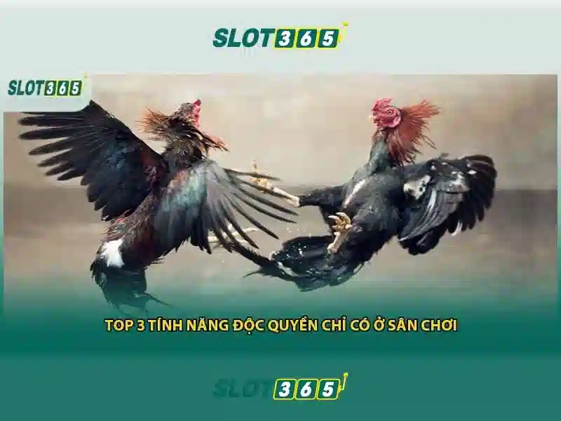 asia slot365 – Trải nghiệm đỉnh cao casino online