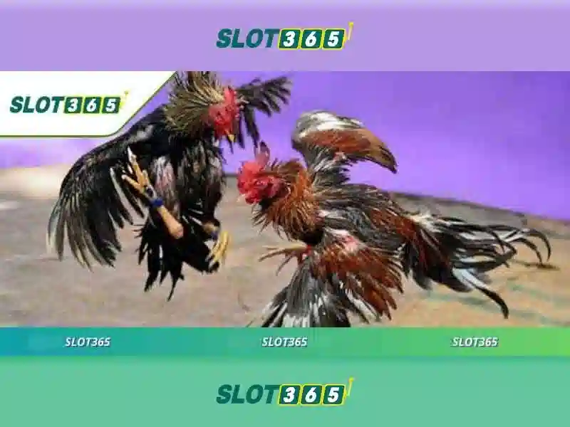 Slot365 - Đánh giá nền tảng trò chơi quay số trực tuyến