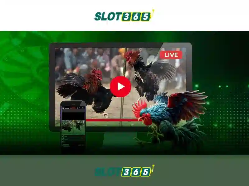 Thu vien game slots cua Slot365 day du, hop tac voi nhieu nha phat hanh lon