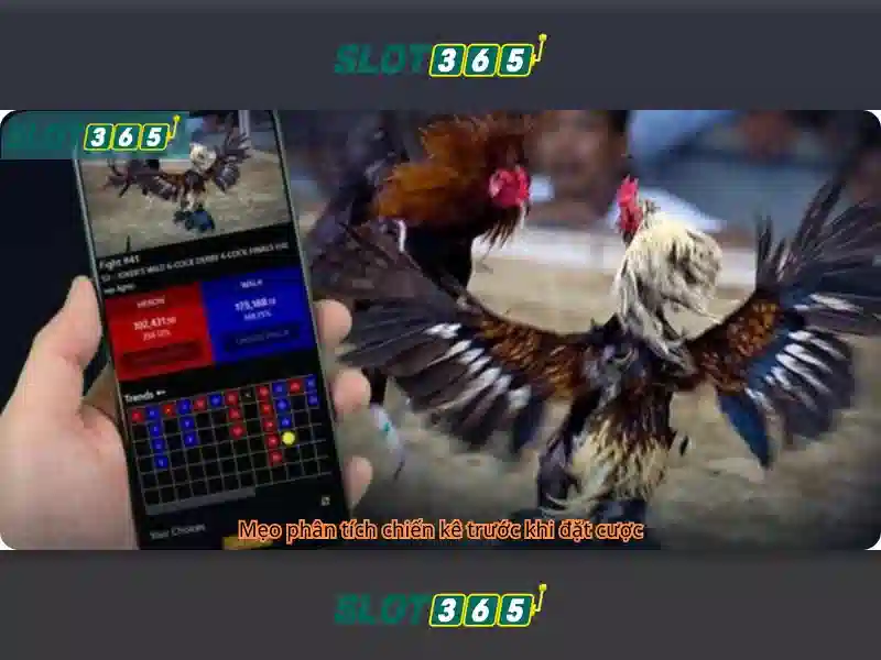 Slot365 - Trải nghiệm slot trực tuyến đỉnh cao