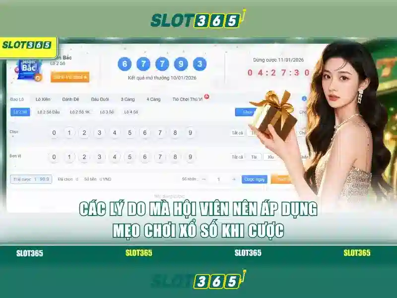Slot365 - Tổng quan, tính năng và hướng dẫn chơi có trách nhiệm