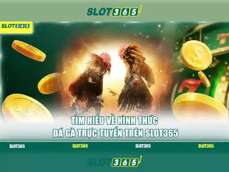 Slot365: Khám phá nền tảng máy đánh bạc trực tuyến hàng đầu