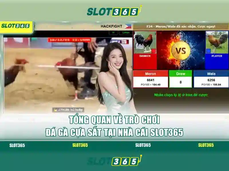 Slot365 và trải nghiệm casino trực tuyến hiện đại