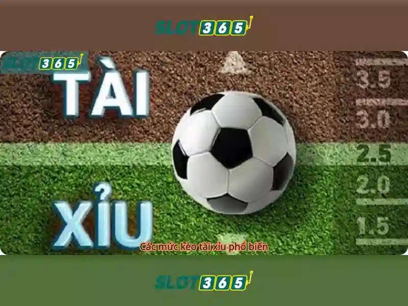 Slot365: Nền tảng chơi máy đánh bạc trực tuyến