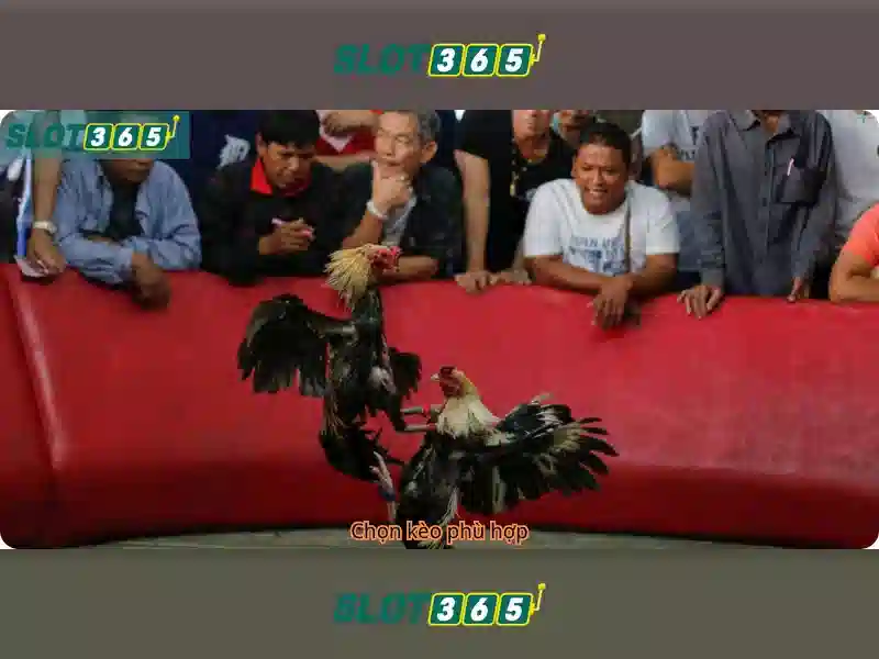 Slot365: Đánh giá và trải nghiệm trò chơi khe cắm trực tuyến