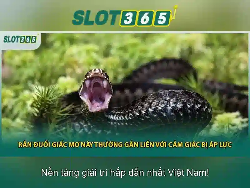 Slot365: Nền tảng slot trực tuyến đáng chú ý cho người chơi Việt