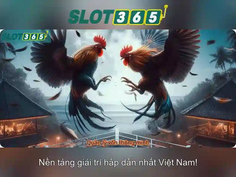 Trải nghiệm người dùng tại Slot365