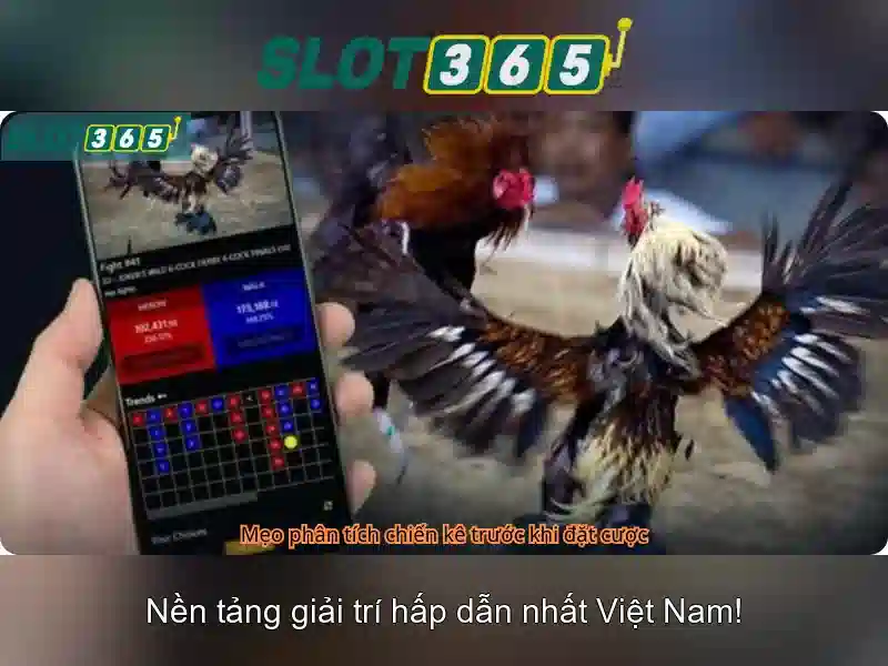An toàn và cách tham gia\n