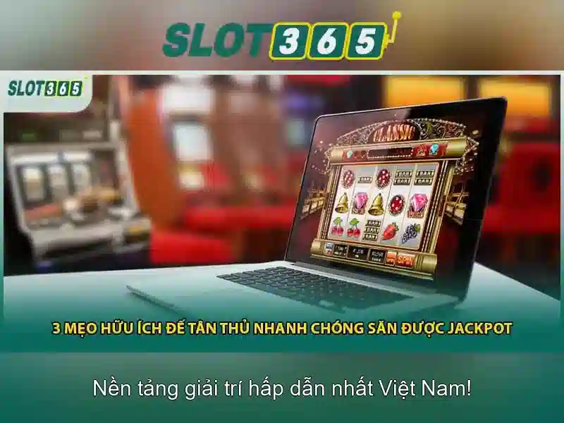 Lý do chọn Slot365 cho người chơi Việt Nam