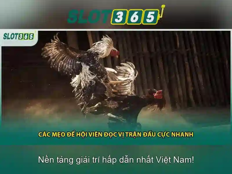 Hướng dẫn bắt đầu và mẹo chơi