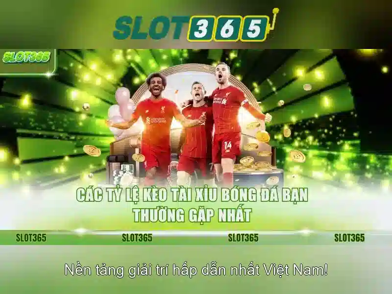 Hỗ trợ khách hàng và liên hệ
