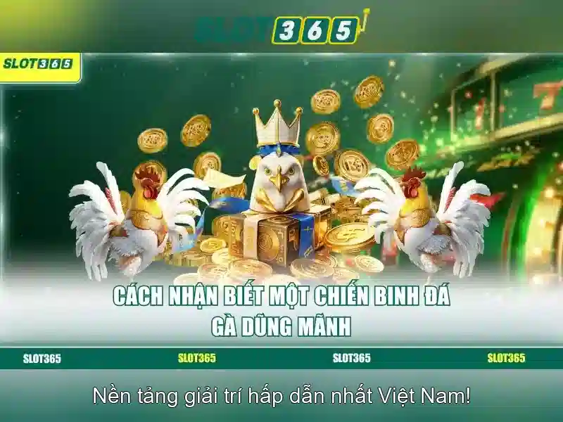 An toàn và bảo mật\n