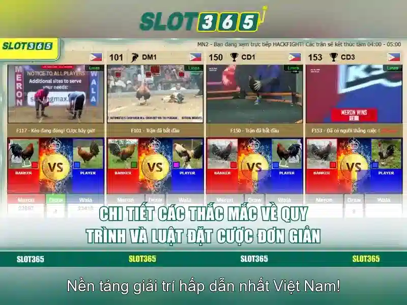 Slot365 – Cổng trò chơi slot trực tuyến hàng đầu
