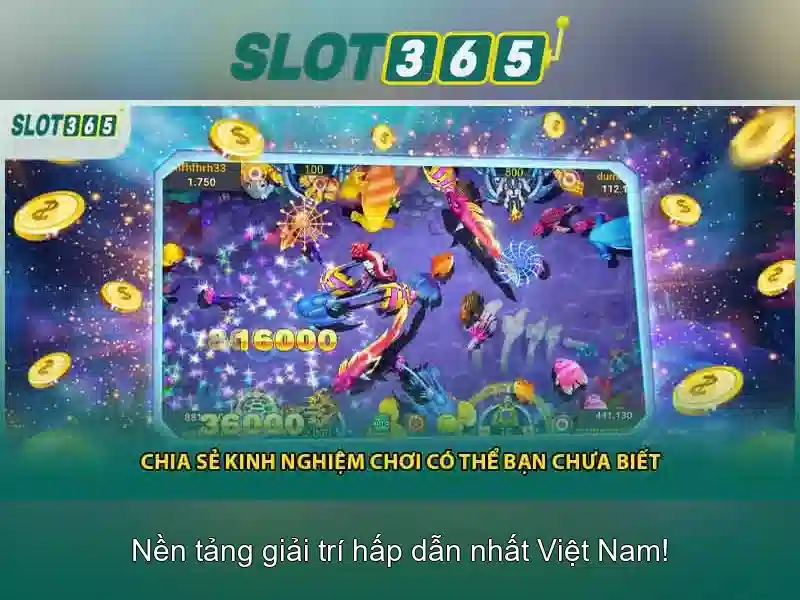 Khuyến mãi và chương trình thưởng