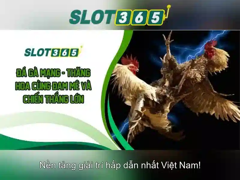 Slot365 nổ hũ - Trải nghiệm đỉnh cao với slot365 apk