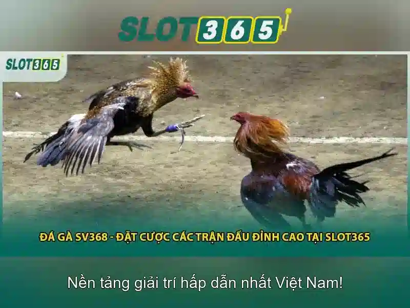 Slot365 – Trải nghiệm slot online đỉnh cao