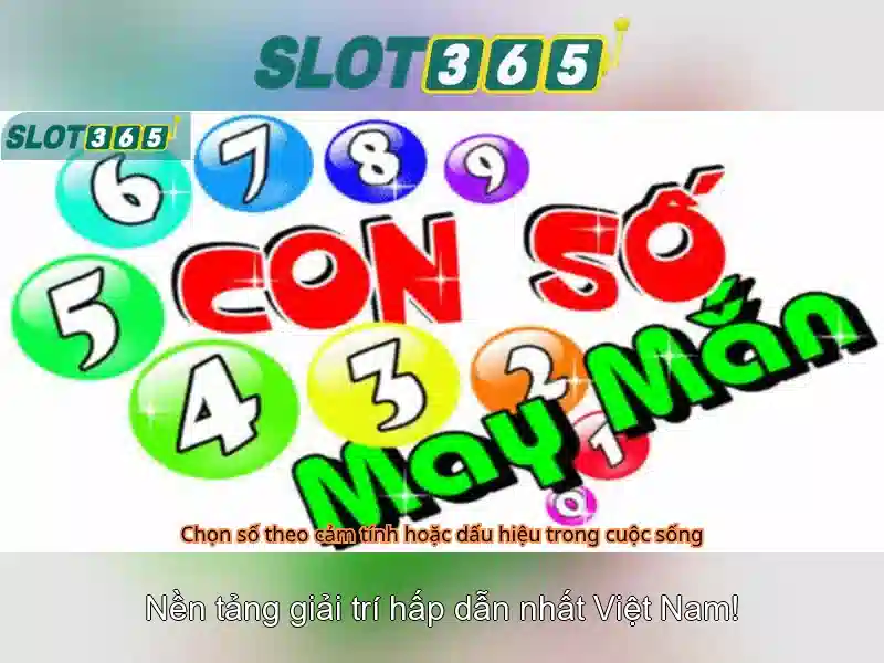 Trải nghiệm trò chơi xèng tại Slot365\n
