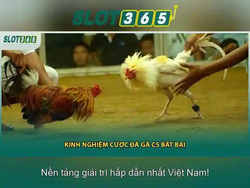 Slot365: Trang web chơi slot trực tuyến uy tín và thú vị