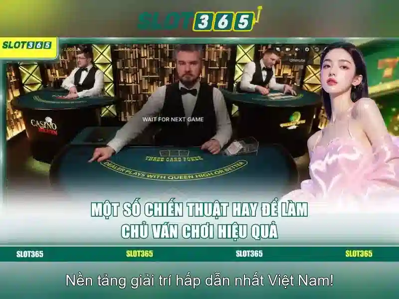 Slot365 là nền tảng casino trực tuyến cho người chơi slot