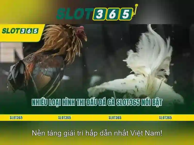 Cách chơi và an toàn