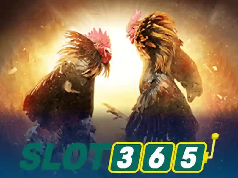 Slot365: Cổng chơi slot trực tuyến đáng tin cậy