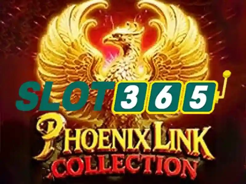 Slot365 - Tổng quan về nền tảng cá cược trực tuyến